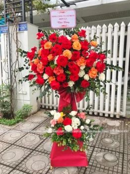 Điều thầm kín của lan vũ nữ vàng